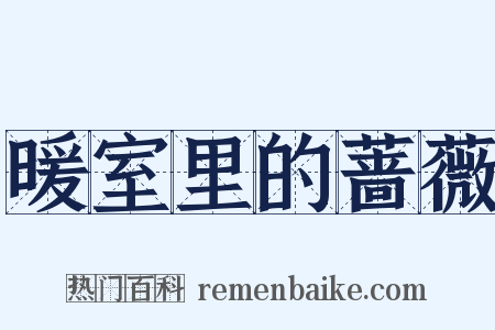 暖室里的蔷薇是什么意思的图片